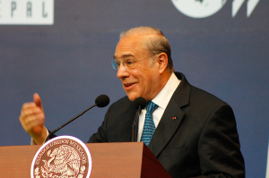 Angel Gurría, OECD Secretary-General in Mexico, 8/01/2013